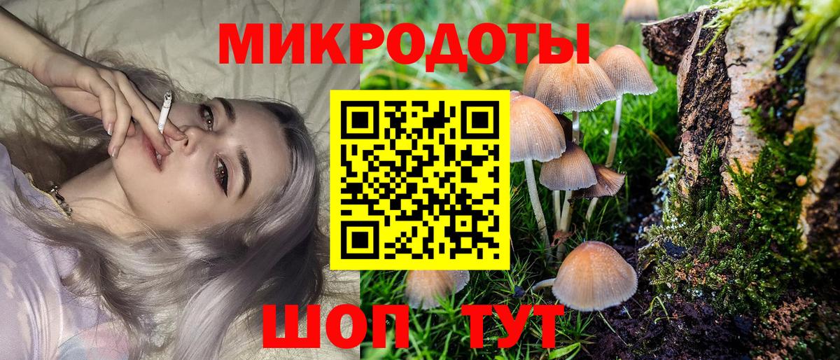 Псилоцибиновые грибы мицелий Карачаевск