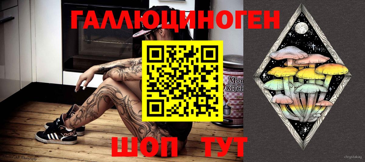 Карачаевск  Галлюциногенные грибы прущие грибы  Псилоцибиновые грибы прущие грибы  Вход с VPN 